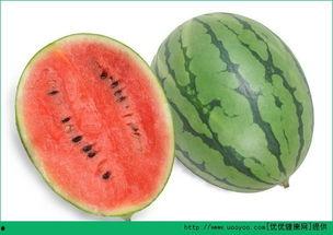 吃瓜过敏感冒,揭秘过敏背后的真相