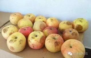 吃瓜头晕想吐,揭秘夏季消暑饮食误区