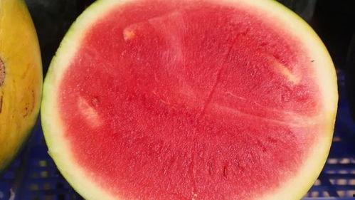 静雯吃瓜,揭秘娱乐圈背后的那些事儿