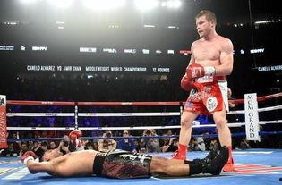 戈洛夫金吃瓜,揭秘拳击传奇背后的趣味瞬间