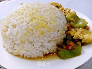 吃瓜饭雪诺,揭秘雪诺背后的故事与魅力